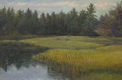 Chrystal River Wetlands