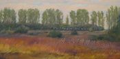 Windbreak and Orchard