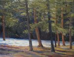 Haven in the Pines