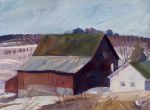 Barn with Green Roof