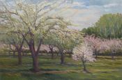 Old Orchard