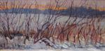 Winter Field Near Allendale
