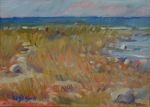 Rocky Beach Study 1