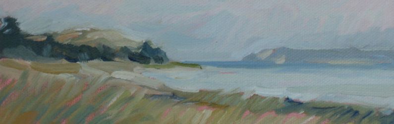 Manitou Passage Study