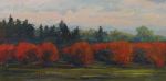Blueberry Field, Evening Light