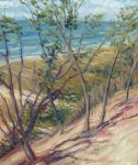 Lake Michigan Shoreline