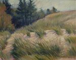 Edge of the Dunes
