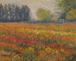 Daylilly Field, Leelanau County
