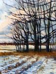 Early Snowfall, Antrim County