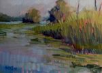 Reeds Lake Wetlands, Summer